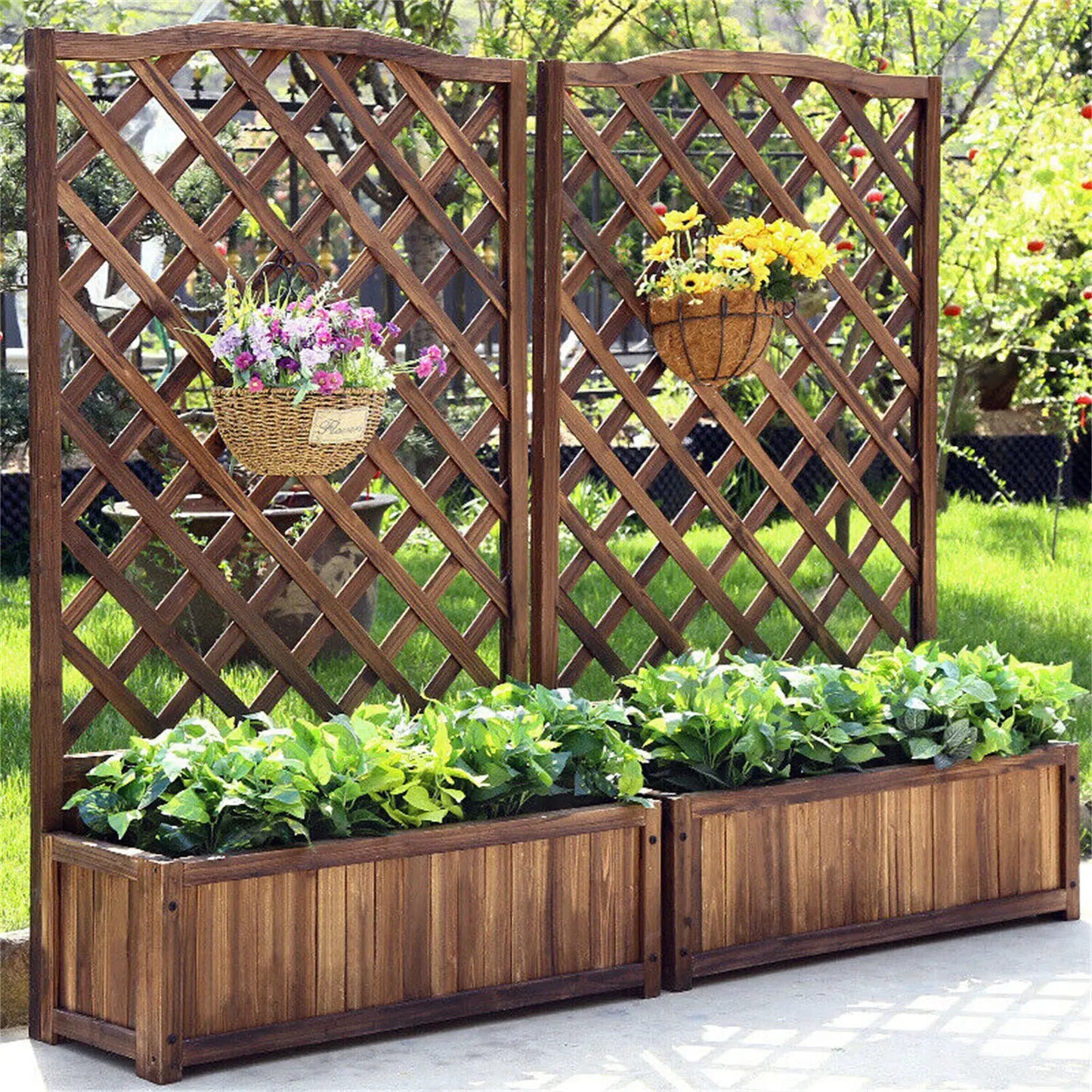 Wooden Raised Garden Bed with Climbing Trellis