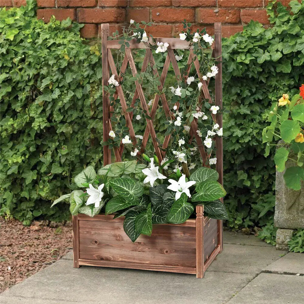 Wooden Raised Garden Bed with Climbing Trellis