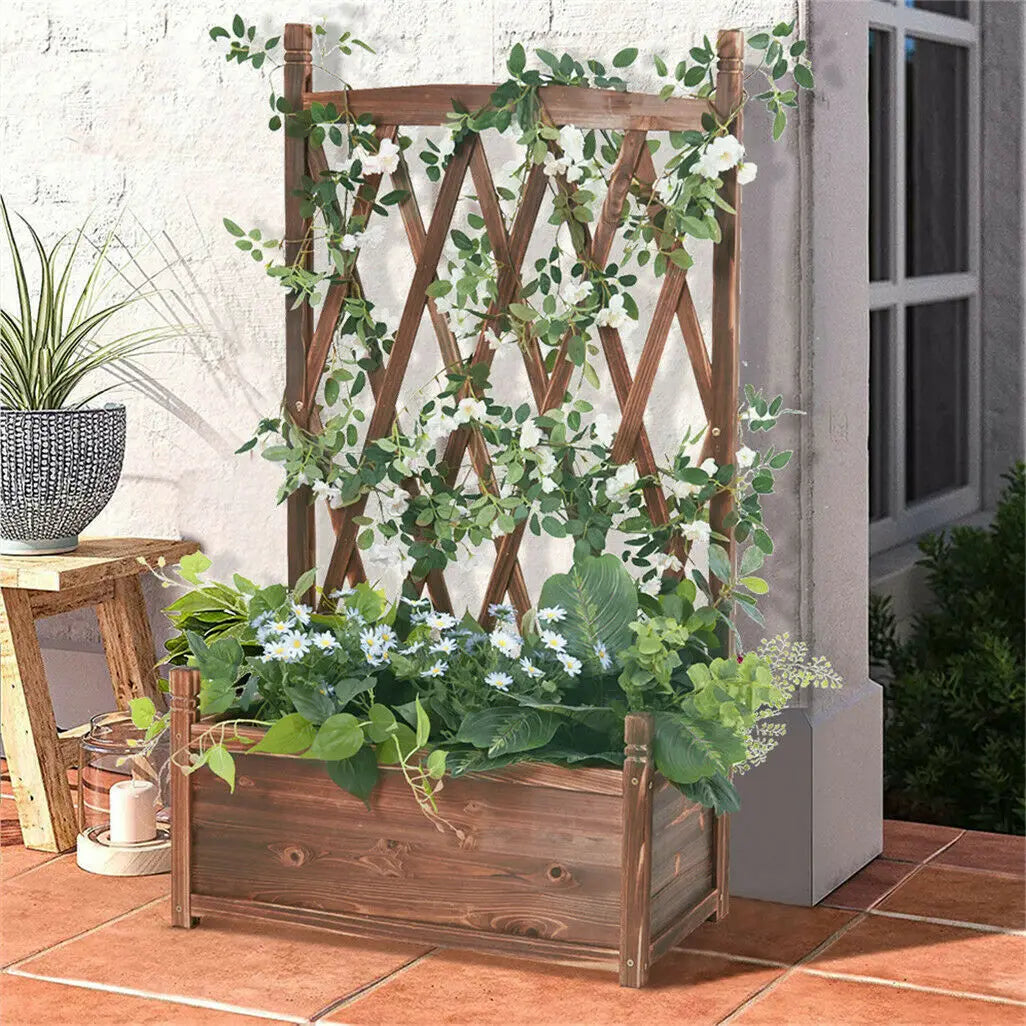 Wooden Raised Garden Bed with Climbing Trellis